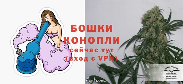 дурь Заводоуковск