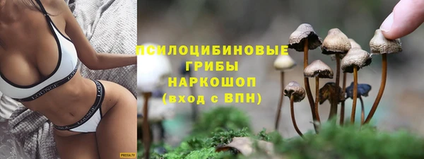 индика Болхов