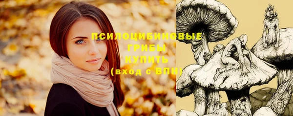 герыч Заволжск