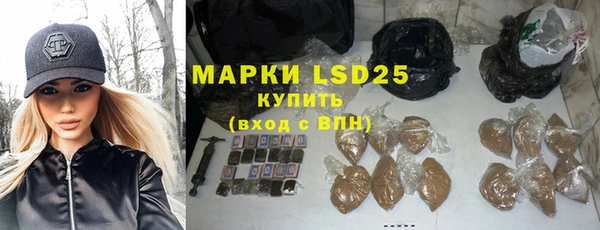 индика Болхов